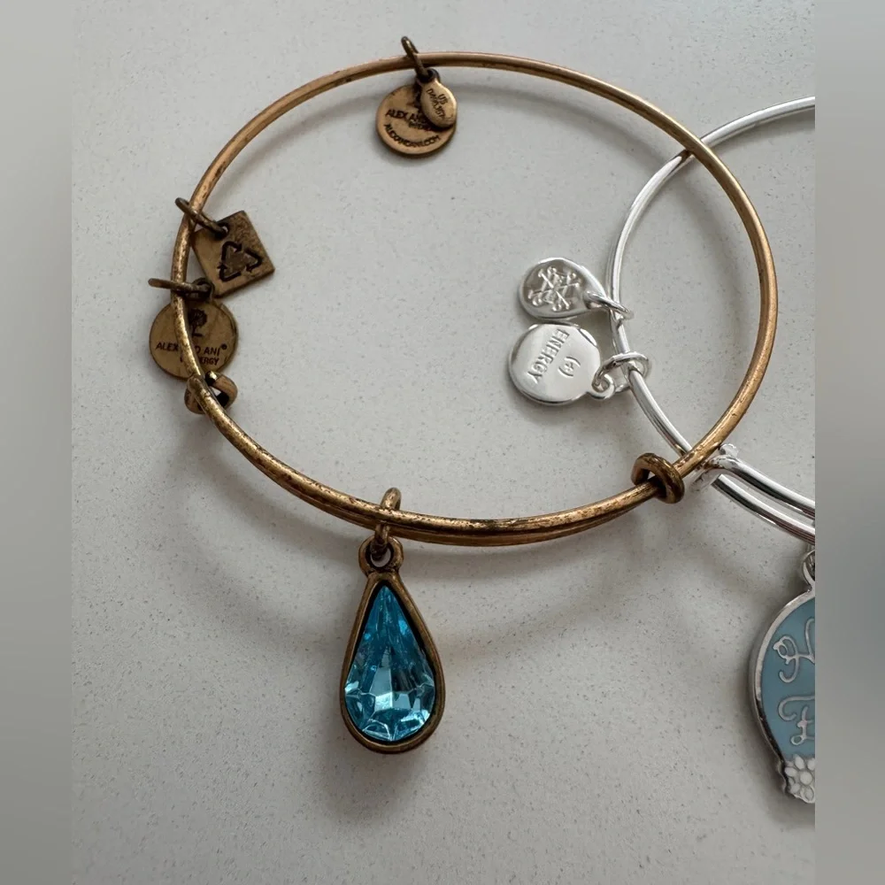 Alex & Ani Gold and Silver Charm Bracelets